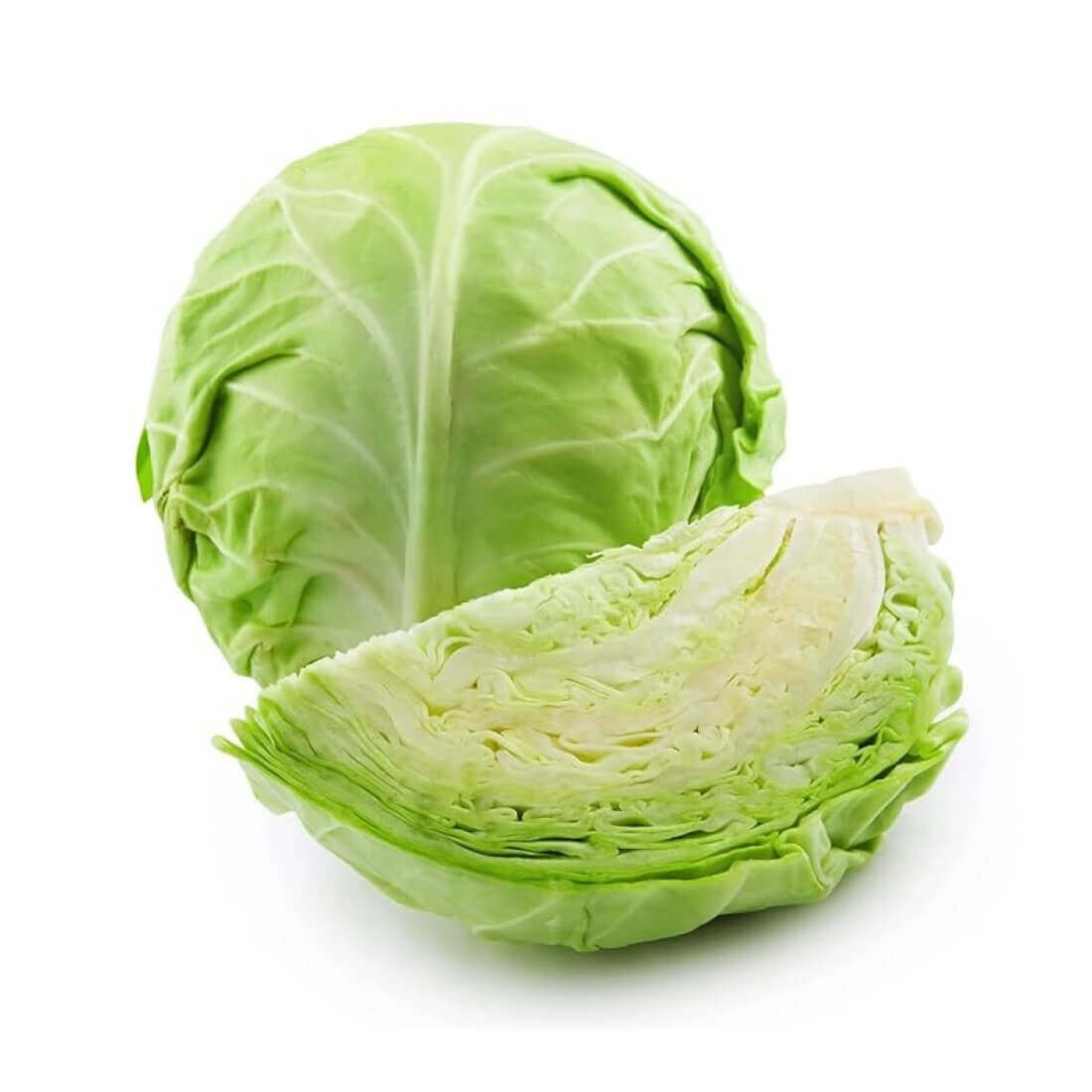 Image-product-12.jpg